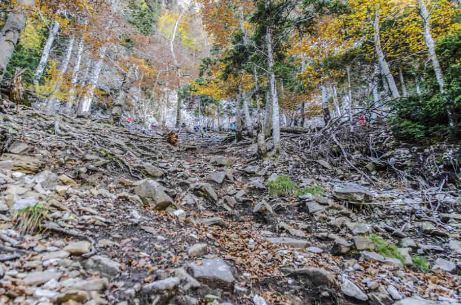 Huesca - parque nacional de Ordesa y Monte Perdido - valle de Ordesa 77 - senda de los Cazadores.jpg